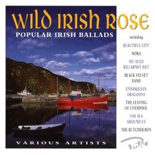 Wild Irish Rose/Popular Irish