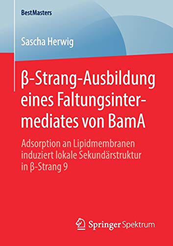 β-Strang-Ausbildung eines Faltungsintermediates von BamA: Adsorption an Lipidmembranen induziert lokale Sekundärstruktur in β-Strang 9 (BestMasters)