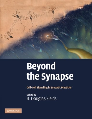 Beyond the Synapse: Cell-Cell Signaling In Synaptic Plasticity