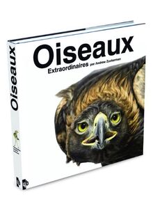 Bird : oiseaux d'exception