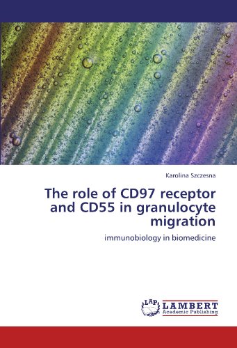 The role of CD97 receptor and CD55 in granulocyte migration: immunobiology in biomedicine