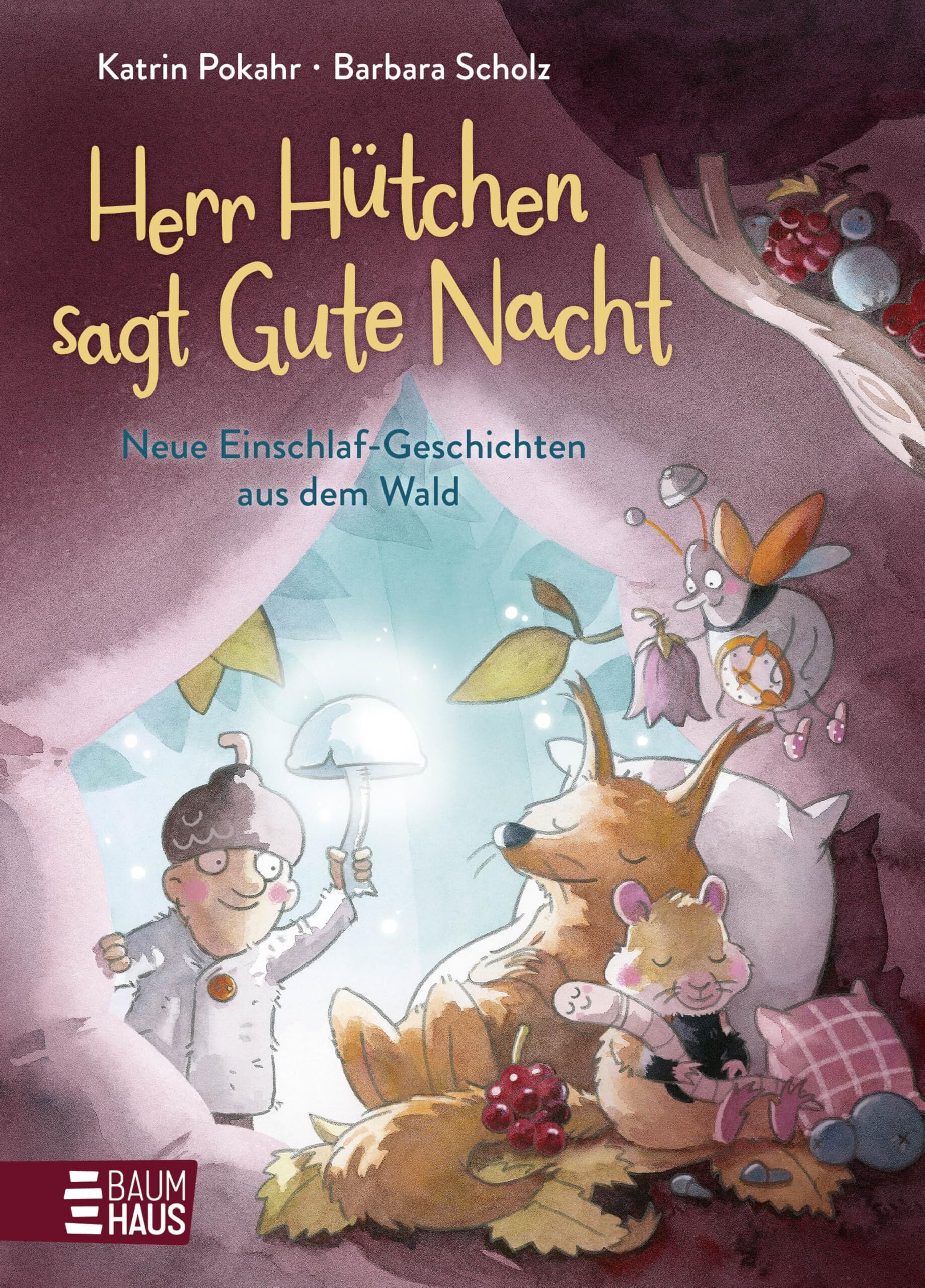 Pokahr, Katrin: Herr Hütchen sagt Gute Nacht - Neue Einschlaf-Geschichten aus dem Wald