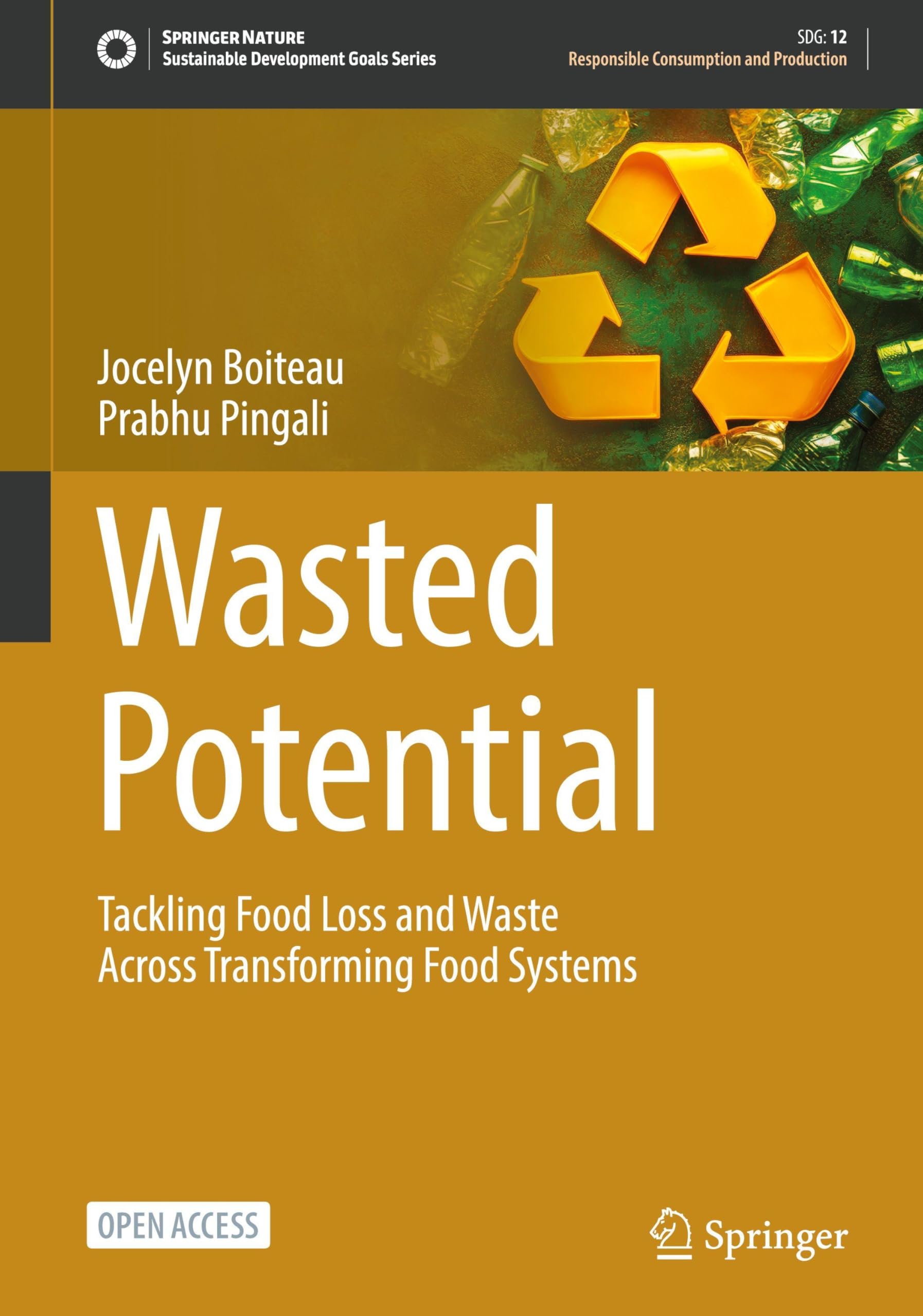 Wasted Potential: Tackling Food Loss and Waste Across Transforming Food Systems (Sustainable Development Goals Series)