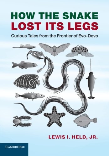 How the Snake Lost its Legs: Curious Tales From The Frontier Of Evo-Devo