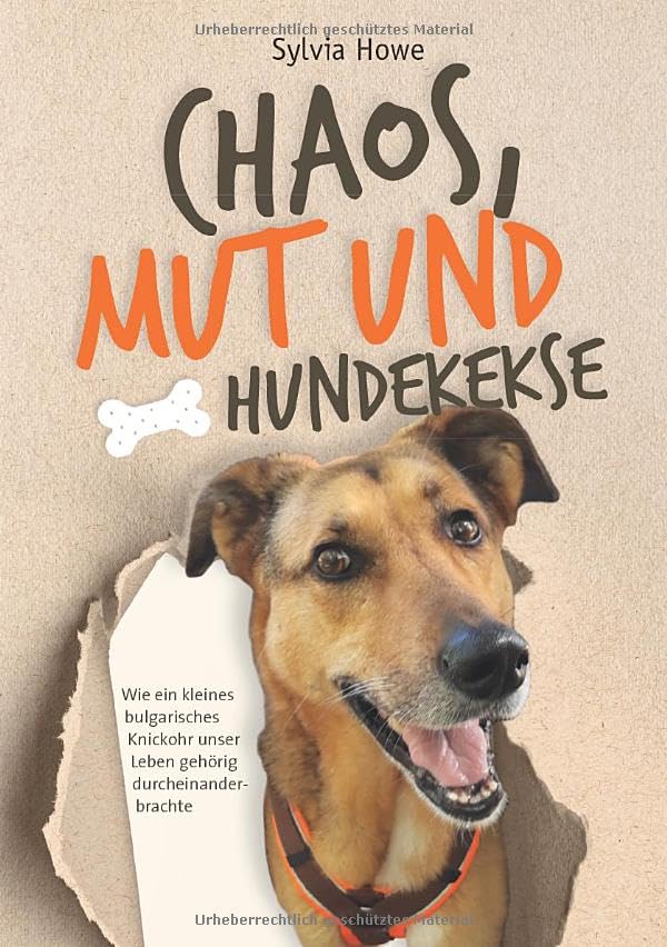 Chaos, Mut und Hundekekse: Wie ein kleines bulgarisches Knickohr unser Leben gehörig durcheinanderbrachte