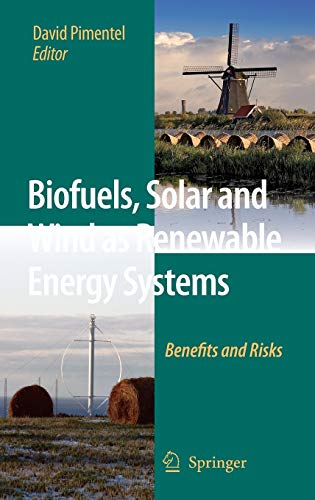 Biofuels, Solar and Wind as Renewable Energy Systems: Benefits and Risks