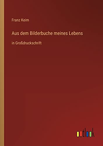 Aus dem Bilderbuche meines Lebens: in Großdruckschrift
