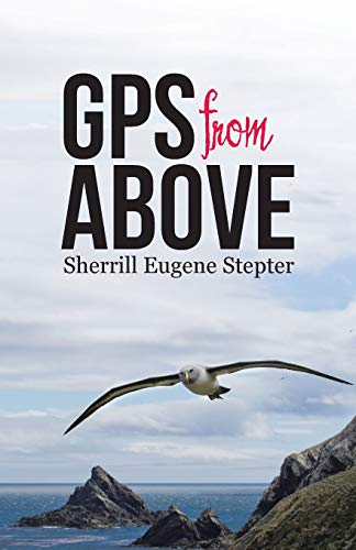 GPS from Above