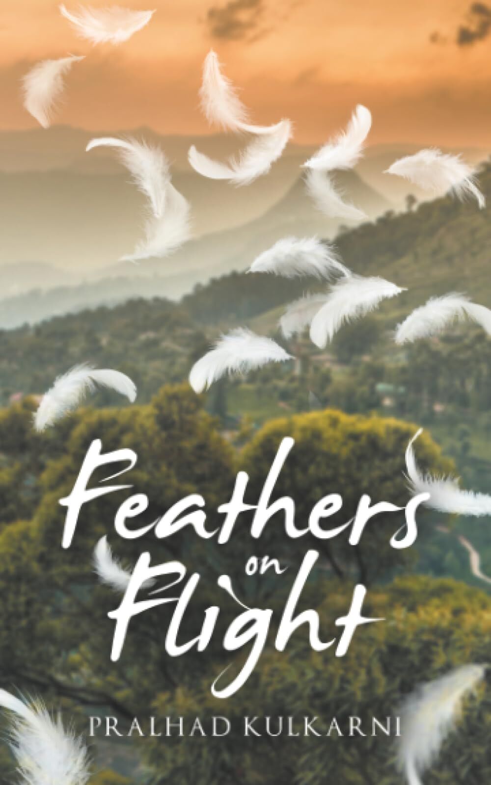 Feathers on Flight