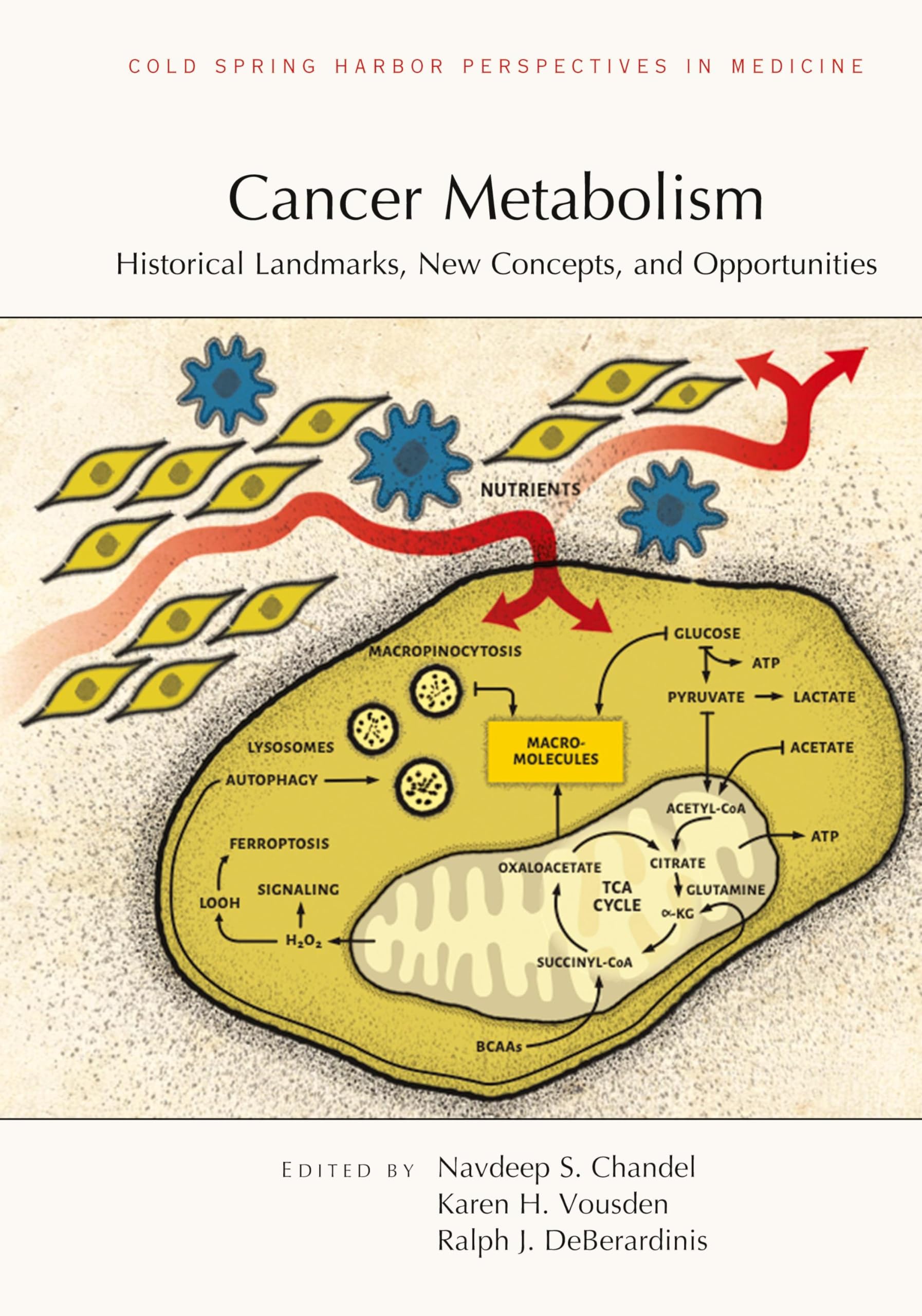 Cancer Metabolism