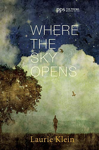Where the Sky Opens: A Partial Cosmography (Poema Poetry)