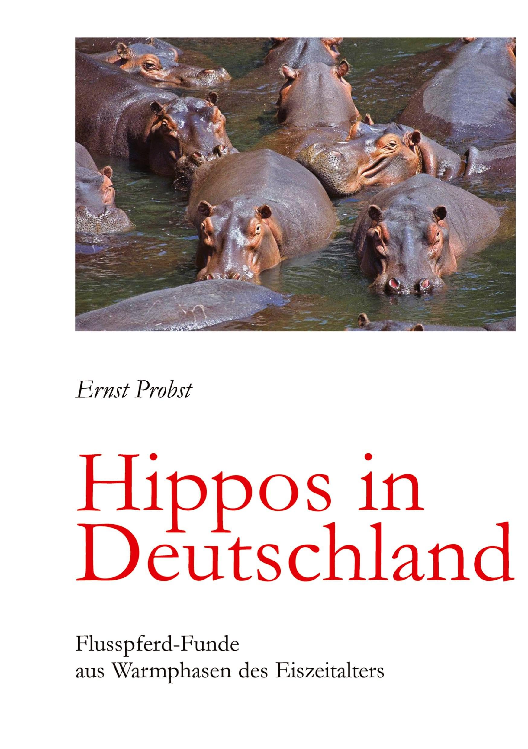 Hippos in Deutschland: Flusspferd-Funde aus Warmphasen des Eiszeitalters