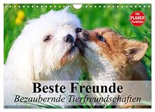 Beste Freunde. Bezaubernde Tierfreundschaften (Wandkalender 2023 DIN A4 quer), Calvendo Monatskalender