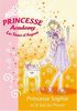Princesse academy. Vol. 11. Princesse Sophie et le bal du prince