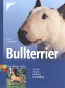 Bullterrier