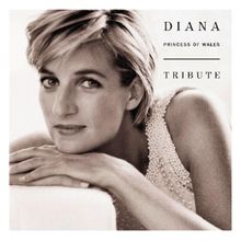 Diana Princess of Wales Tribute von Various | CD | Zustand gut
