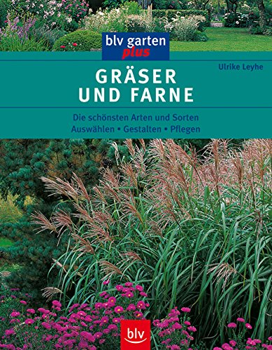 Grser und Farne: Die schnsten Arten und Sorten Auswhlen  Gestalten   Pflegen von Ulrike Leyhe - Taschenbuch