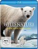 Wild Nature – Wilde Natur, wildes Leben [Blu-ray]