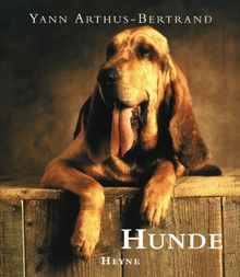 Hunde