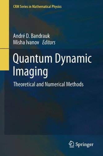 Quantum Dynamic Imaging: Theoretical and Numerical Methods (CRM Series in Mathematical Physics)