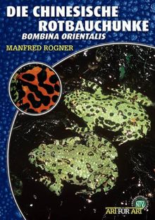 Die Chinesische Rotbauchunke: Bombina orientalis