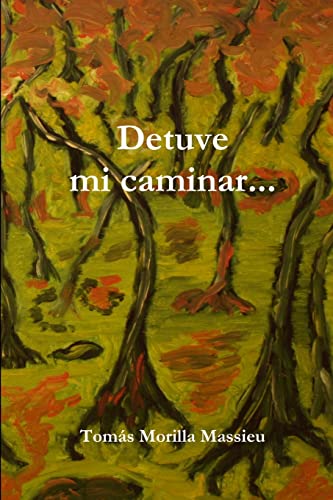 Detuve mi caminar. . .