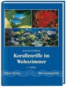 Korallenriffe im Wohnzimmer