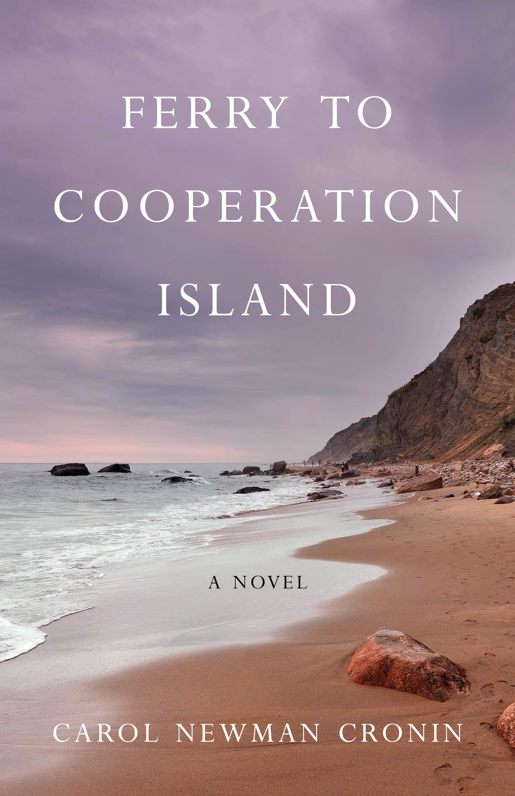 Ferry to Cooperation Island: A Novel