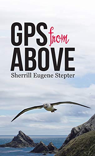 GPS from Above