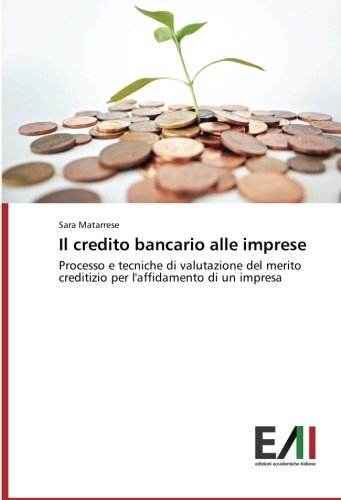 Il credito bancario alle imprese: Processo e tecniche di valutazione del merito creditizio per l'affidamento di un impresa