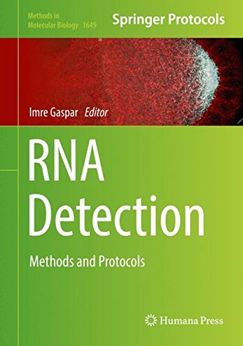 RNA Detection: Methods and Protocols (Methods in Molecular Biology, Band 1649)