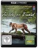 Zurück zum Urwald - Der Nationalpark Kalkalpen 4K (UHD Ultra HD Blu-ray)