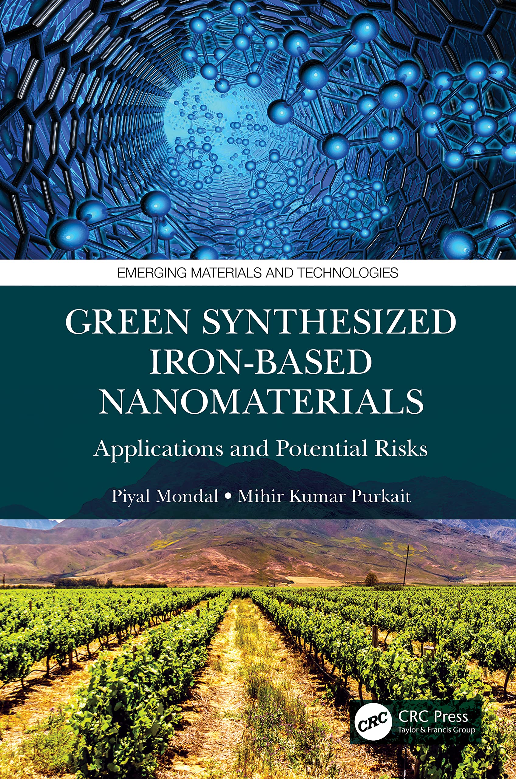 Green Synthesized Iron-based Nanomaterials: Applications and Potential Risks (Emerging Materials and Technologies)