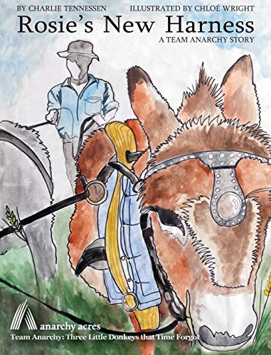 Rosie's New Harness (Team Anarchy Stories for Children, Band 1)
