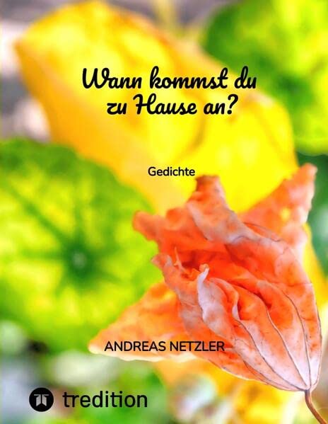 Wann kommst du zu Hause an?: Gedichte