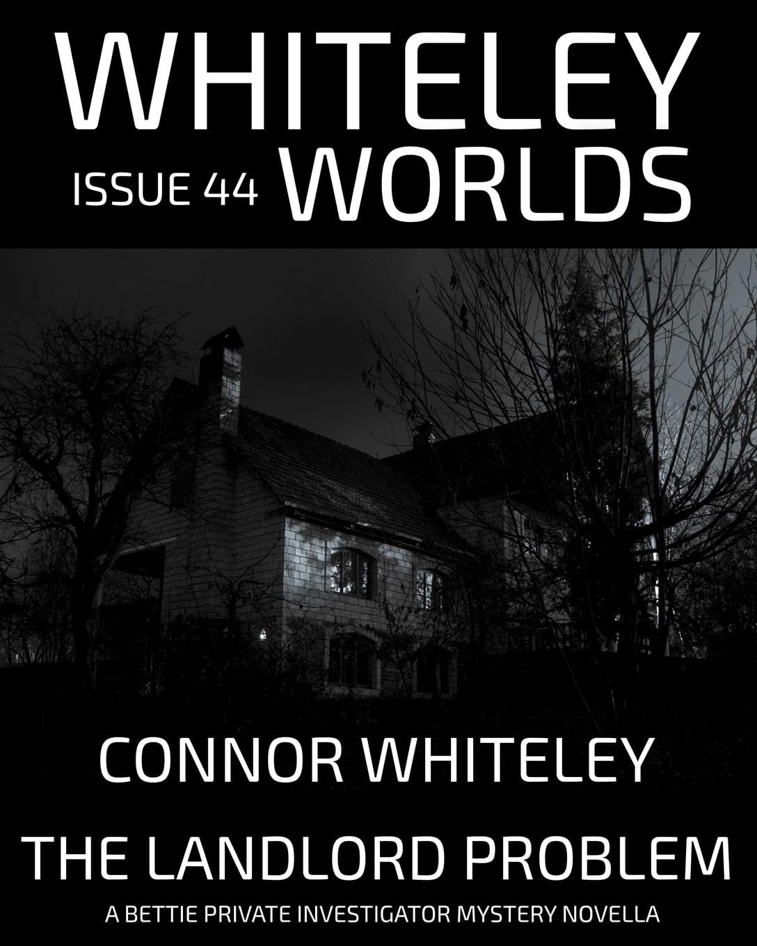 Issue 44: The Landlord Problem A Bettie Private Investigator Mystery Novella (Whiteley Worlds, Band 44)