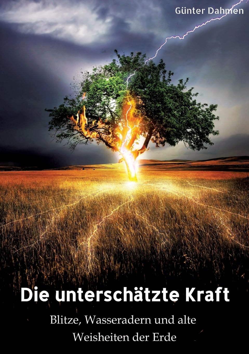 Die unterschätzte Kraft: Blitze, Wasseradern und alte Weisheiten der Erde