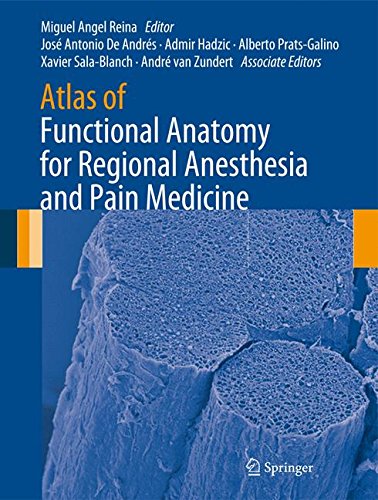 Atlas of Functional Anatomy for Regional Anesthesia and Pain Medicine: Human Structure, Ultrastructure and 3D Reconstruction Images