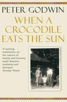 When a Crocodile Eats the Sun de Peter Godwin | Livre | état acceptable