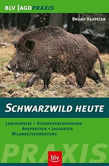 Schwarzwild heute: Lebensweise · Schadensbegrenzung · Ansprechen · Jagdarten · Wildbretverwertung (BLV Jagdpraxis)