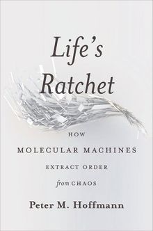 Life's Ratchet: How Molecular Machines Extract Order from Chaos