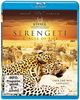 Serengeti - Circle of Life (Blu-ray)