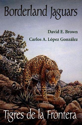 BORDERLAND JAGUARS: Tigres De LA Frontera