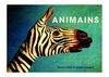 Animains: Les animaux dans l'art et la nature