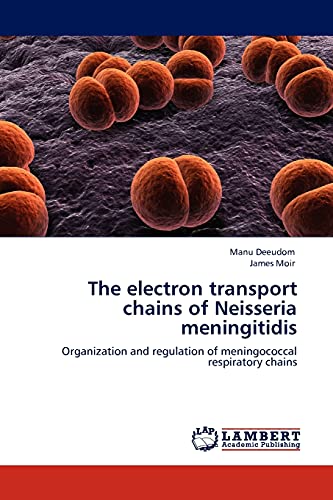The electron transport chains of Neisseria meningitidis: Organization and regulation of meningococcal respiratory chains