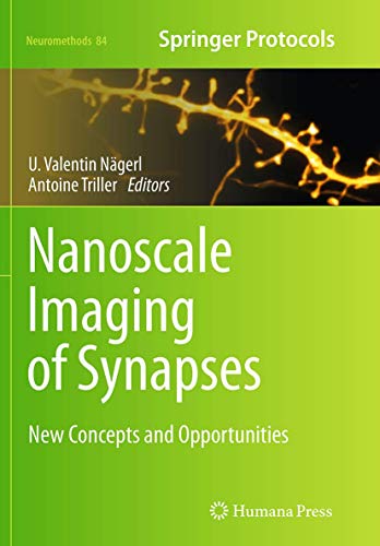 Nanoscale Imaging of Synapses: New Concepts and Opportunities (Neuromethods, Band 84)