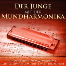 Der Junge mit der Mundharmonika (28 Hits auf 2 CDs auf der Mundharmonika inkl. Einsamer Hirte, My Way, Moon River, What A Wonderful World, Amazing Grace)