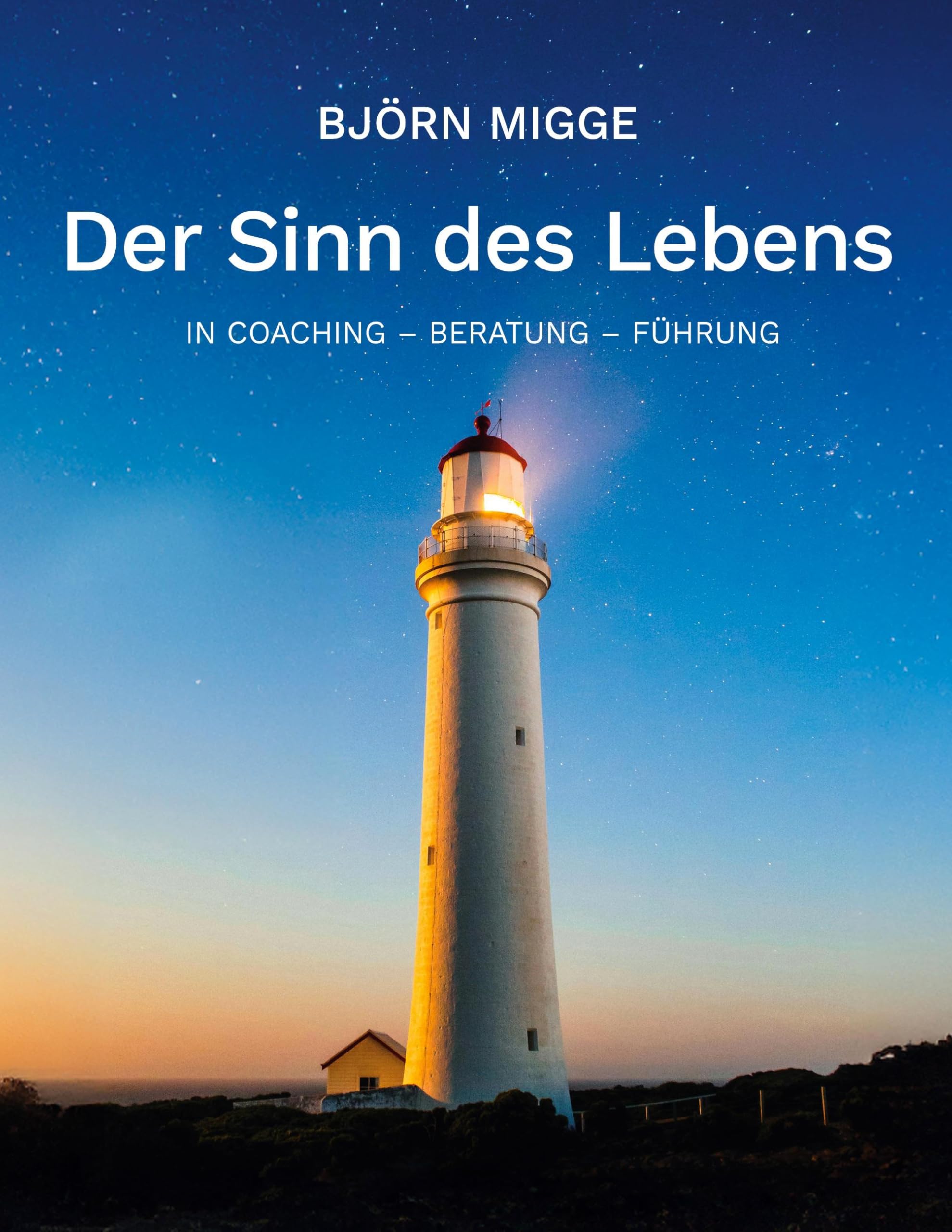 Der Sinn des Lebens: In Coaching - Beratung - Führung