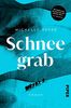 Schneegrab: Roman | Ein spannendes Bergsteiger-Drama im eisigen Himalaya der 1930er Jahre