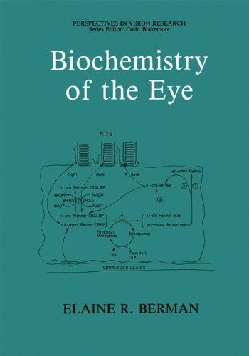 Biochemistry of the Eye (Perspectives in Vision Research)